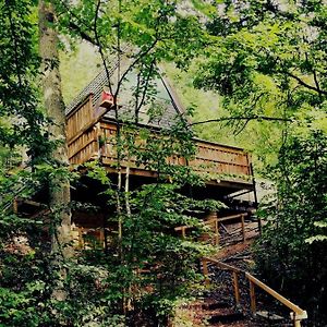 Sunclass Durbuy Chalet 98 Woody
